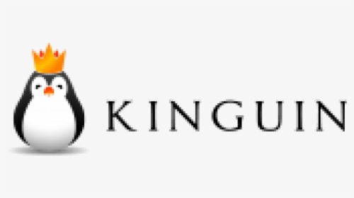 Kinguin USA Coupon Codes